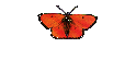 Archiv Ov.-ca.
Fachbeitrge