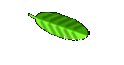 Datenbank-
Ovarialkarzinom