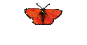     Archiv Ov.-ca.
Forschung/Studien